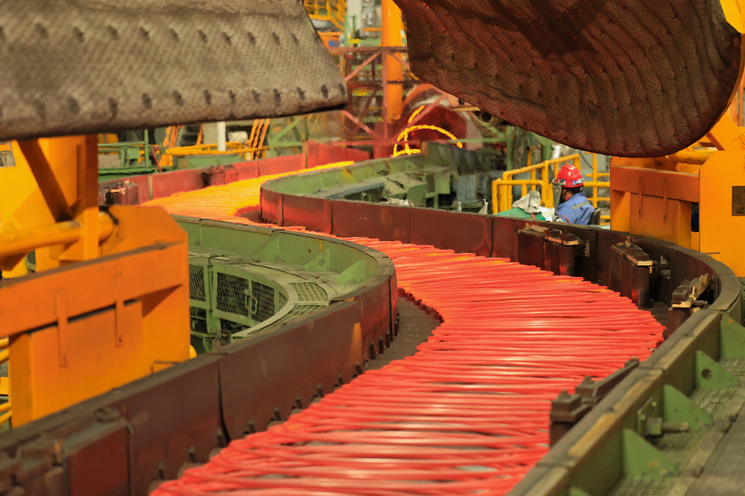 WalsinYantai_StelmorConveyor